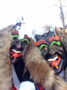 Fasching Umzug Wernau